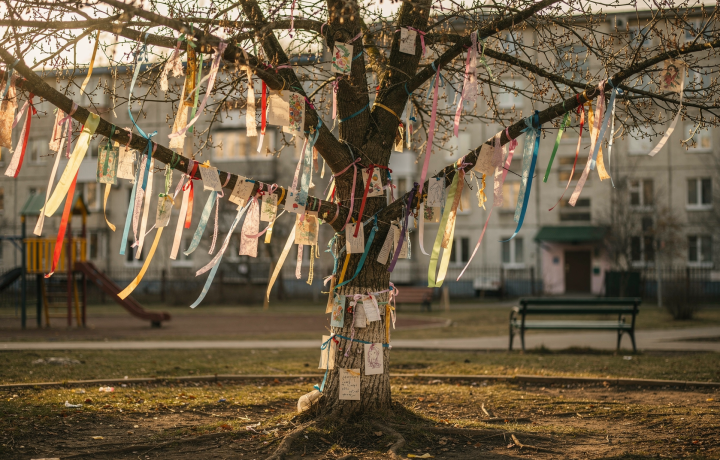 «Дерево желаний» (2019): сюжет, смысл и отзывы зрителей
